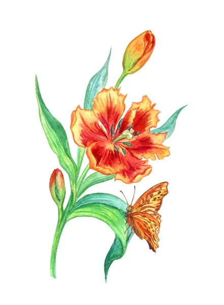 Tulip Butterfly Watercolor Painting White Background Isolated — Stock Photo, Image