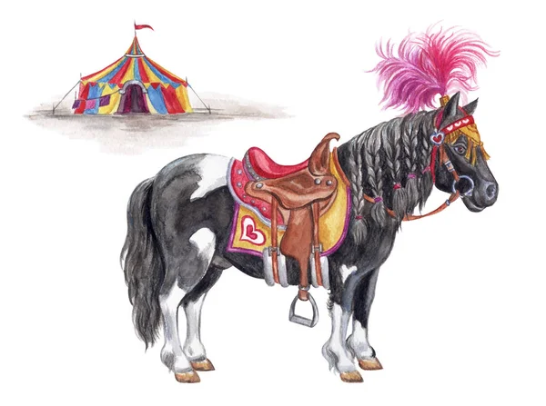 Circus Pony Elegante Harnas Tegen Achtergrond Van Tent Aquarel Tekenen — Stockfoto