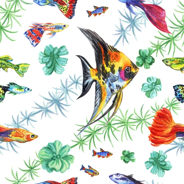 Seamless pattern from aquarium fish and plants, watercolor drawing on white background