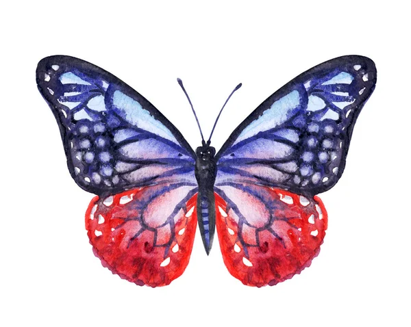 Mariposa Azul Roja Dibujo Acuarela Sobre Fondo Blanco Aislado — Foto de Stock