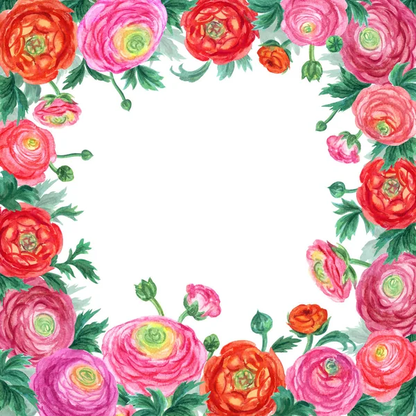 Frame of flowers of the Ranunculus, watercolor drawing, postcard to the day of St. Valentine, wedding, etc.