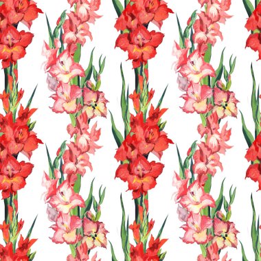 Kılıç çiçeği, seamless modeli el-çizim.