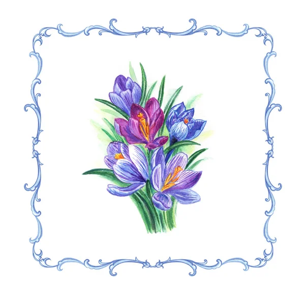 Een Crocus Boeket Het Barokke Frame Aquarel Illustratie Geïsoleerd Met — Stockfoto