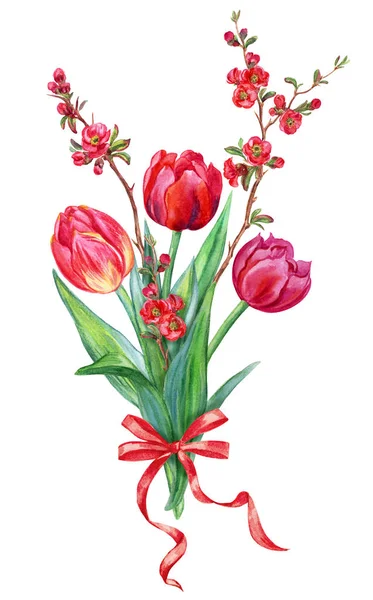 Букет Тюльпанів Гілок Квітучої Айви Акварельний Малюнок Білому Тлі Ізольований — стокове фото
