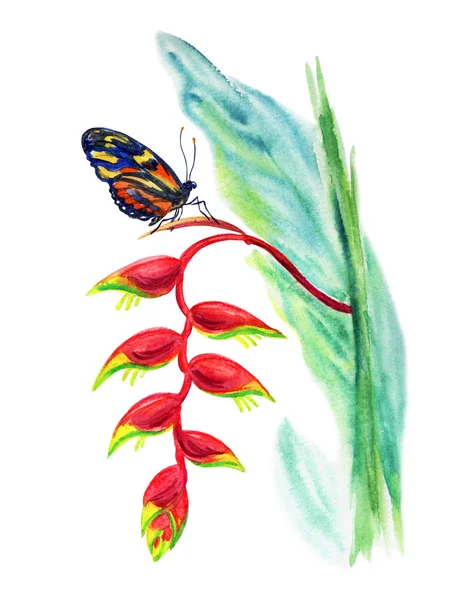 蝎尾蕉热带植物和蝴蝶 水彩绘画在白色背景下 — 图库照片