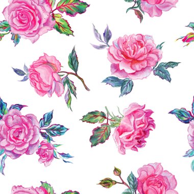 Beyaz bir arka plan üzerinde pembe gül sulu boya Dikişsiz desen.