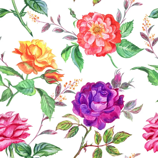 Απρόσκοπτη Ακουαρέλα Μοτίβο Της Πολύχρωμα Τριαντάφυλλα Και Κλαδιά Λευκό Φόντο — Φωτογραφία Αρχείου