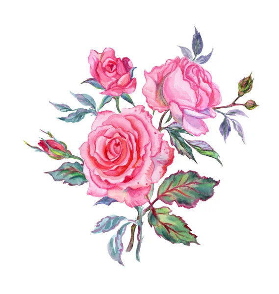 粉红色玫瑰花束 水彩画白色背景 — 图库照片