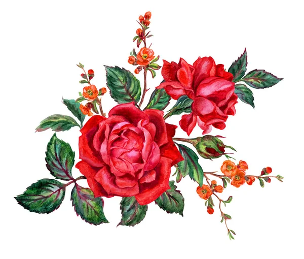 Bukiet Czerwonych Róż Gałęzi Kwitnienia Pigwa Akwarela Rysunek Białym Tle — Zdjęcie stockowe