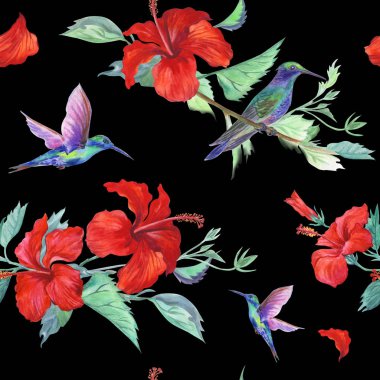 Sinek kuşlarının ve ebegümeci sorunsuz suluboya desen