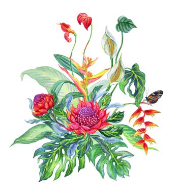 Tropik bitkiler, beyaz zemin üzerine suluboya buket