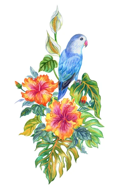 Composition Tropical Plants Hibiscus Monstera Parrot Watercolor Painting White Background — Stock Photo, Image