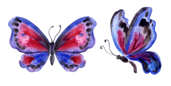 Dos Mariposas Tonos Púrpura Dibujo Acuarela Sobre Fondo Blanco Aisladas — Foto de Stock