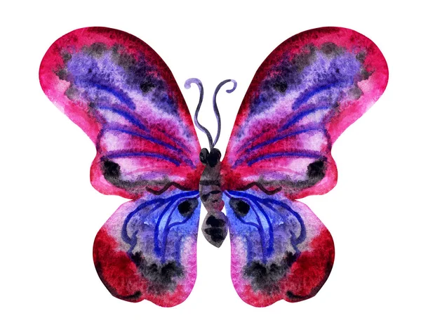 Mariposa Tonos Violeta Dibujo Acuarela Sobre Fondo Blanco Aislado — Foto de Stock