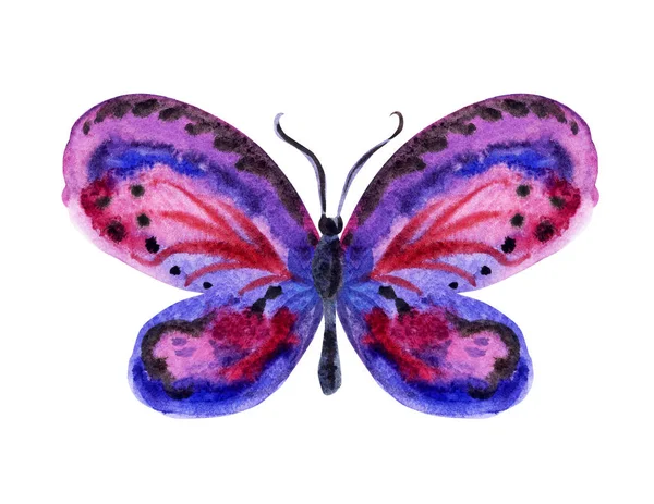 Mariposa Tonos Violeta Dibujo Acuarela Sobre Fondo Blanco Aislado — Foto de Stock