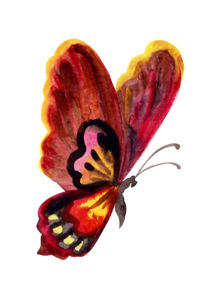 蝴蝶在红色色调 水彩画在白色背景 — 图库照片