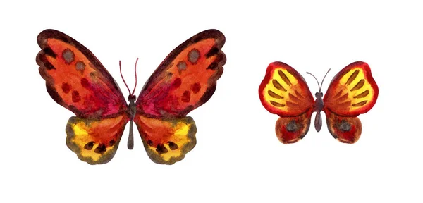 两只蝴蝶在红色色调 水彩画在白色背景 — 图库照片