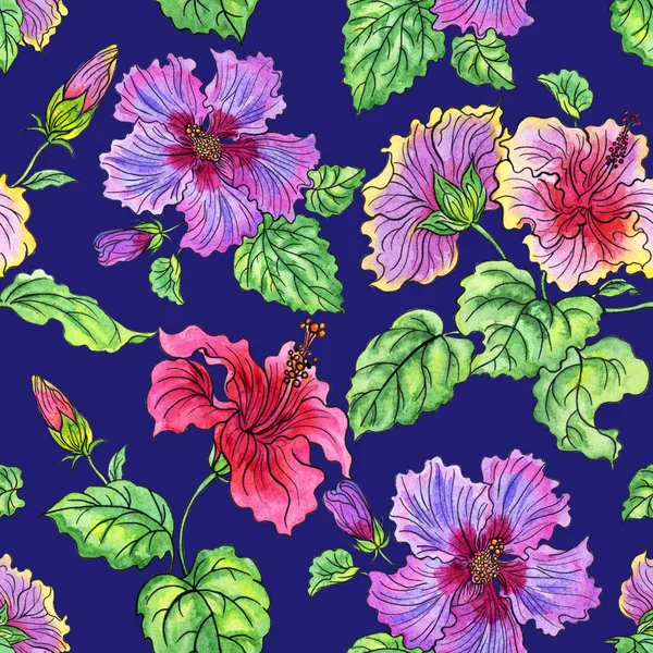 Patrón Sin Costuras Flores Hibisco Sobre Fondo Azul Dibujo Acuarela — Foto de Stock