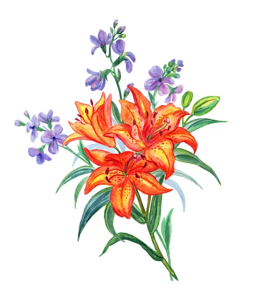 Bouquet Orange Lilies Gillyflowers Watercolor White Background Isolated — Stock Photo, Image