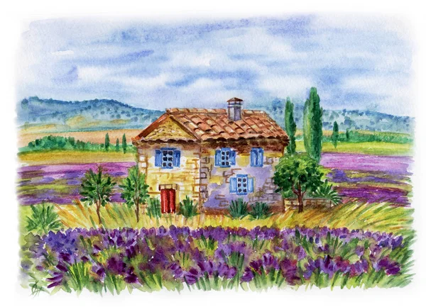 A house in Provence among the fields of lavender, watercolor drawing.