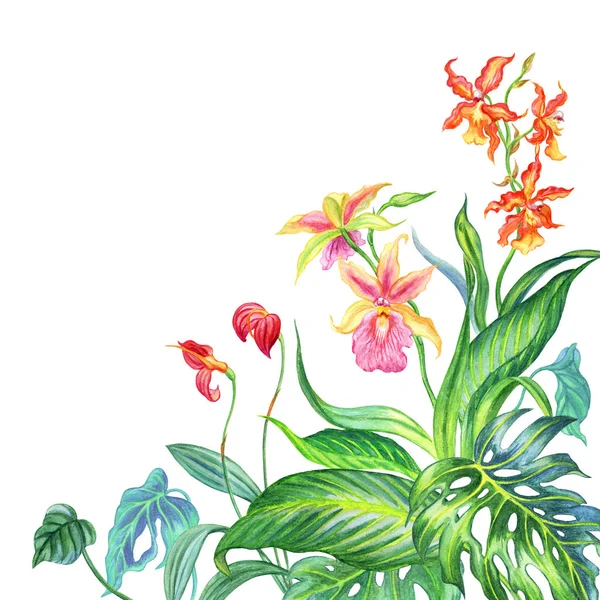Boeket Van Tropische Planten Aquarel Illustratie Witte Achtergrond Geïsoleerd — Stockfoto