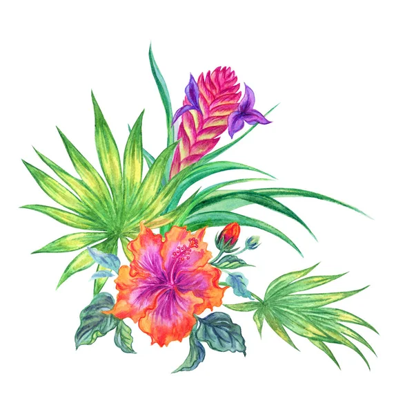 Bouquet Tropical Plants Watercolor Illustration White Background Isolated — Stock Photo, Image