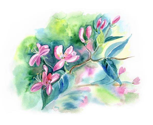 Kvetoucí Větve Zimolez Výkresu Jaro Akvarel — Stock fotografie