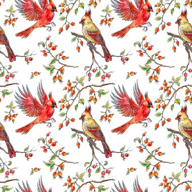 Kuşlar cardinals ve Kuşburnu dalları meyveleri ile Seamless modeli.