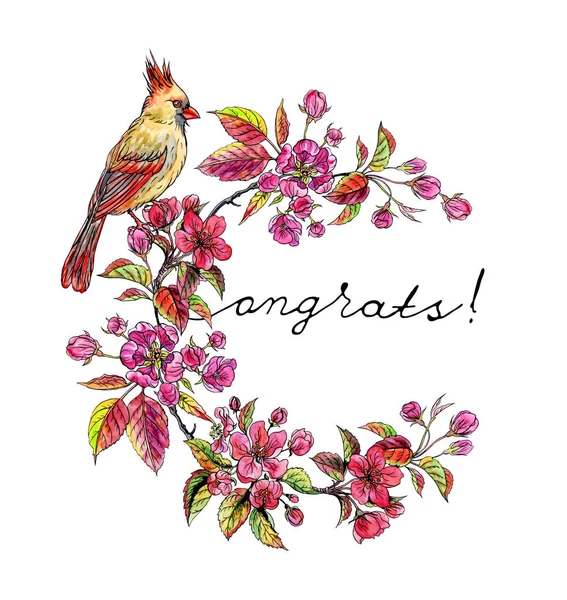 Kuş Kardinal Dal Çiçek Açması Bir Elma Ağacı Yazıt Tebrikler — Stok fotoğraf