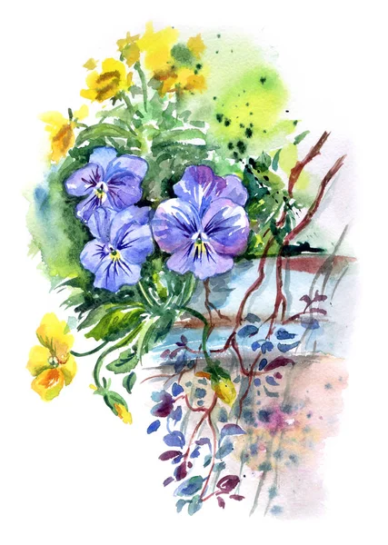 Maceška Velké Květináče Parku Akvarel Kresba — Stock fotografie