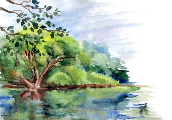 池のアヒルと岸辺の水彩画の木 — ストック写真