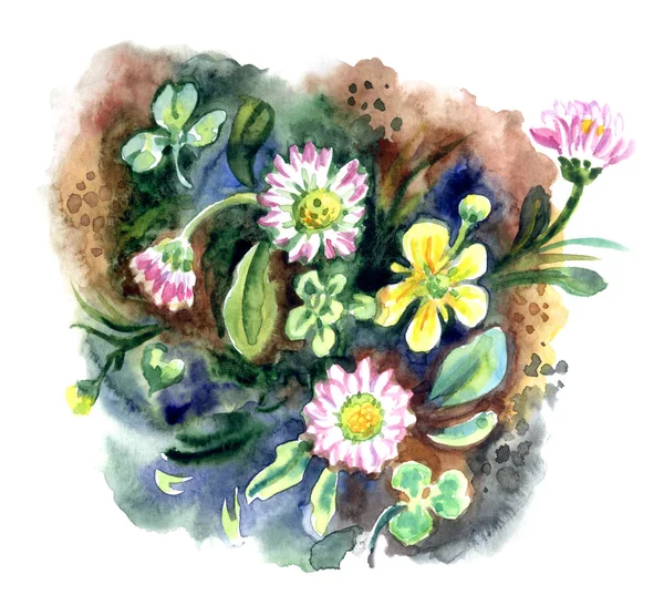 Madeliefjes Boterbloemen Aquarel Illustratie Hand Tekenen — Stockfoto