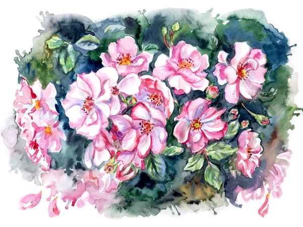 Briar Fleuri Sur Buisson Illustration Aquarelle Une Manière Expressive — Photo