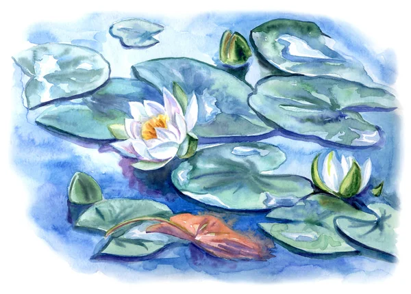Weiße Seerose Auf Einem Teich Aquarell Illustration — Stockfoto
