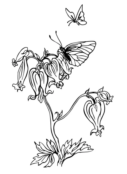 Dicentra Mariposas Contorno Ilustración Vectorial Blanco Negro — Vector de stock