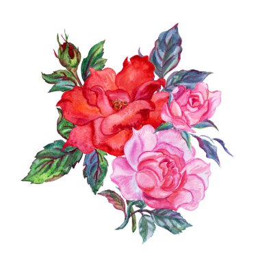 Buket gül, izole, beyaz arka plan üzerinde çizim suluboya.
