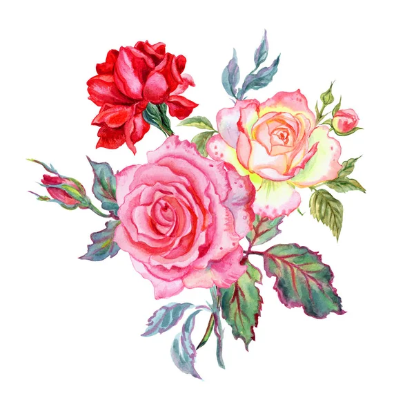Bouquet of roses, watercolor drawing on white background, isolated.