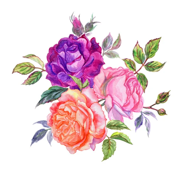 Bouquet of roses, watercolor drawing on white background, isolated.