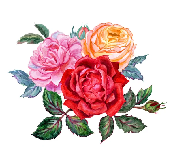 Csokor Rózsa Akvarell Rajz Elszigetelt Fehér Alapon — Stock Fotó