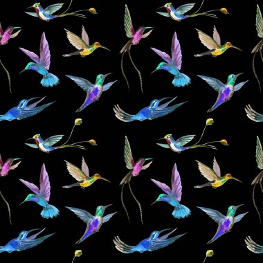 Çok renkli sinek kuşlarının sorunsuz suluboya desen.