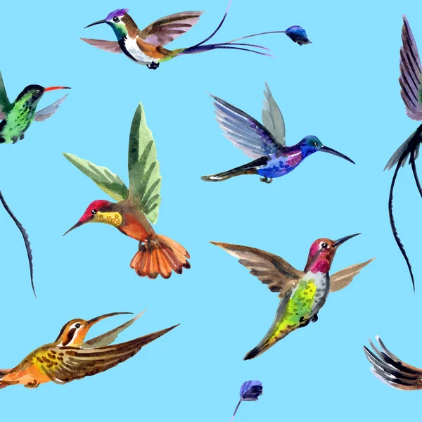Seamless Watercolor Pattern Multi Colored Hummingbirds — Stock Photo, Image