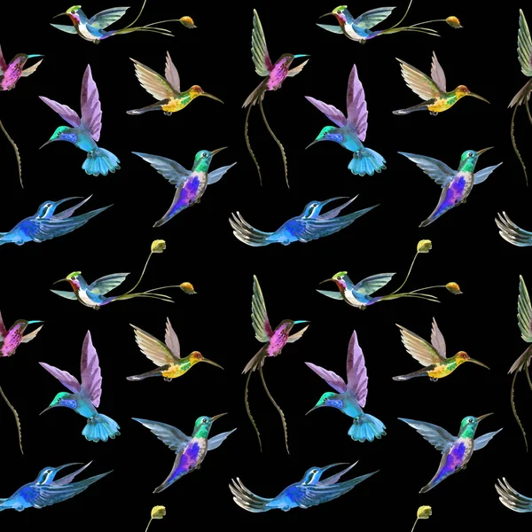 Padrão Aquarela Sem Costura Beija Flores Multi Coloridas — Fotografia de Stock
