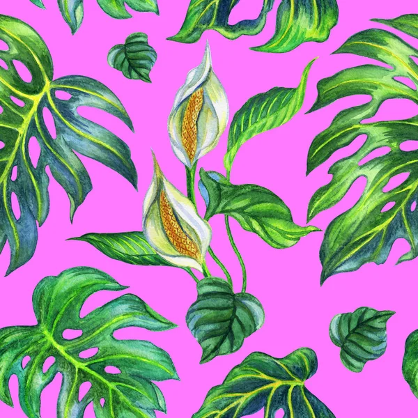 Patrón Sin Costura Planta Tropical Monstera Pintura Acuarela — Foto de Stock