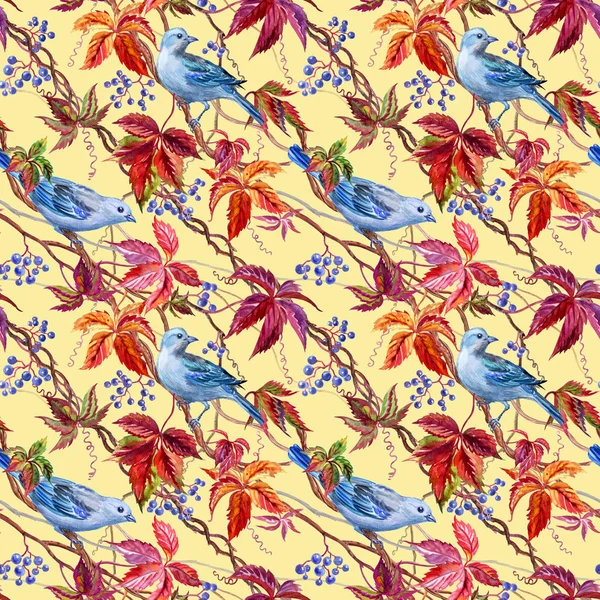 Mavi kuşlar ve yabani üzüm sorunsuz suluboya desen.