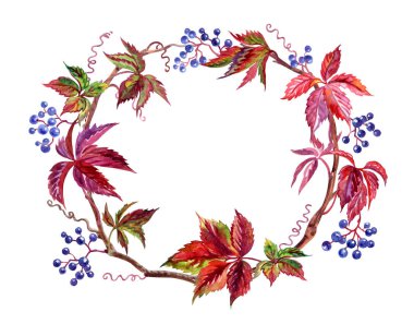 Yabani üzüm, kırpma yolu ile izole beyaz zemin üzerine çizim suluboya yuvarlak çerçeve.