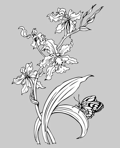 Orquídea Cigarra Dibujo Contorno Blanco Negro — Vector de stock