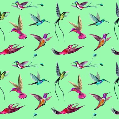 Sarı bir arka plan üzerinde çok renkli sinek kuşlarının sorunsuz suluboya desen.