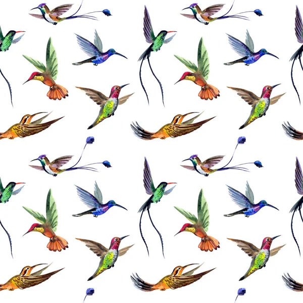 Seamless Watercolor Pattern Multi Colored Hummingbirds Yellow Background — Stock Photo, Image