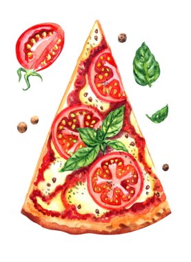Domates ve fesleğen, suluboya illüstrasyon izole kırpma yolu ile beyaz bir arka plan üzerinde pizza Margherita.