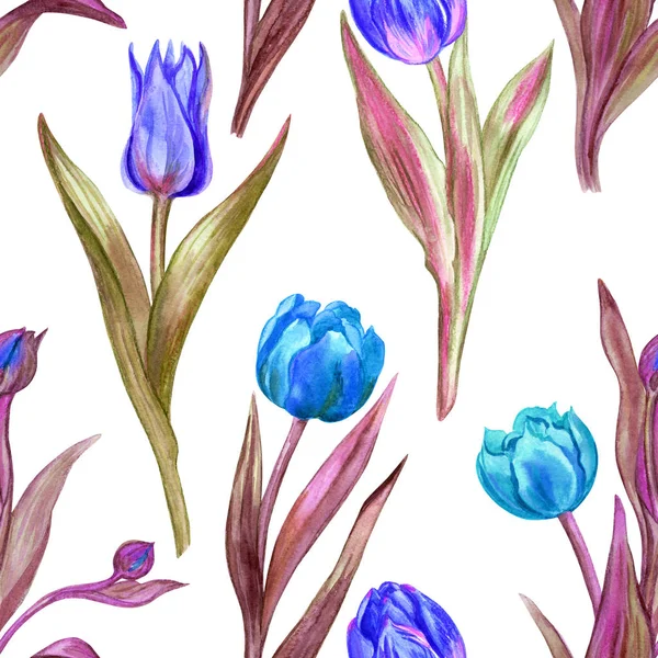 Naadloze Aquarel Patroon Van Tulpen Bloem Print Voor Stoffen Andere — Stockfoto